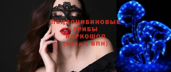 амф Инта