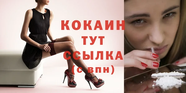 амф Инта
