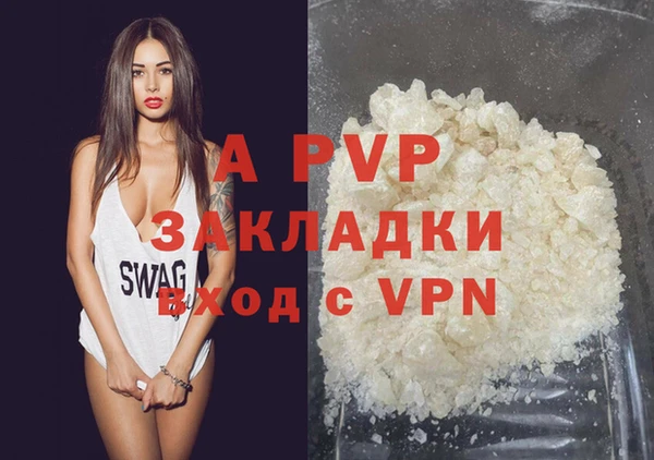 амф Инта
