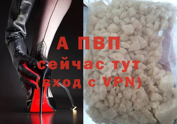 амф Инта