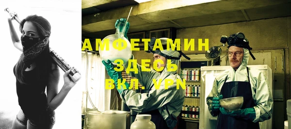 амф Инта