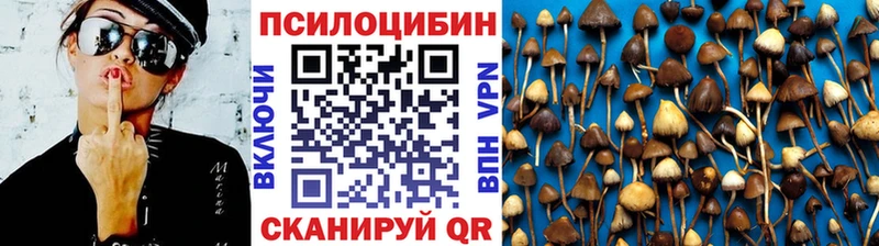 Галлюциногенные грибы GOLDEN TEACHER  Купить  Белокуриха 