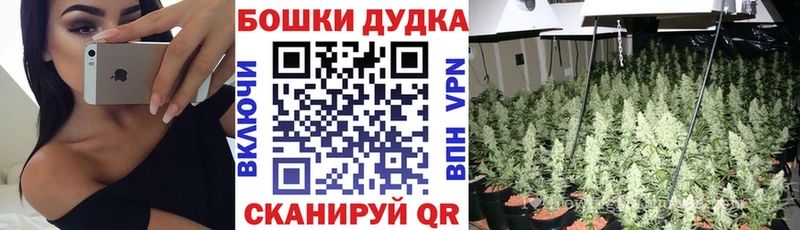 Купить Белокуриха Каннабис THC 21%